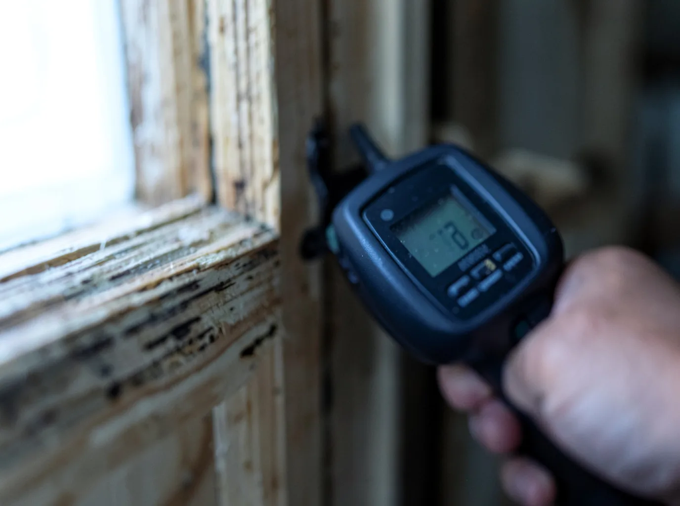 Ceiling Water Damage Repair in Elmendorf, TX